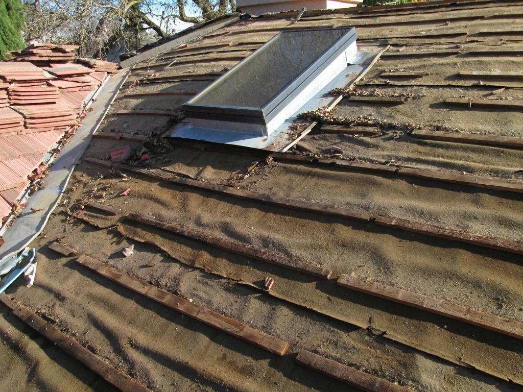 Roof Leak Repair in Denver, CO 80261