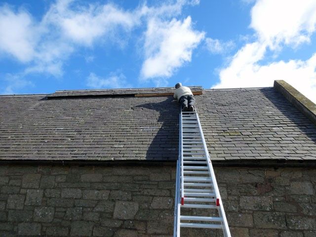 Roof Leak Repair in Agate, CO 80101
