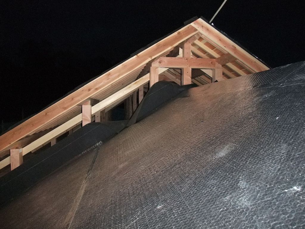 Roof Leak Repair in Olathe, CO 81425